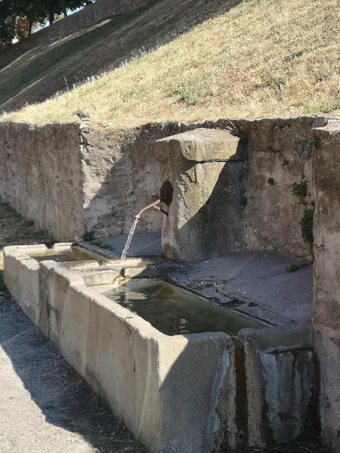 Appartamento L'avenue vers La Cité de Carcassonne Esterno foto
